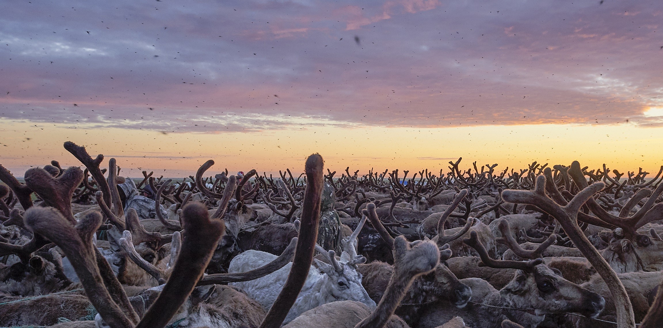Открываем Енисей Открываем Енисей