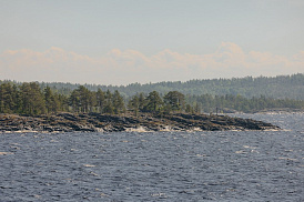 Сценическое плавание